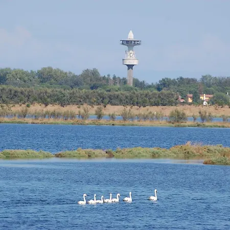 Modern In Mare With Private Parking * Rosolina